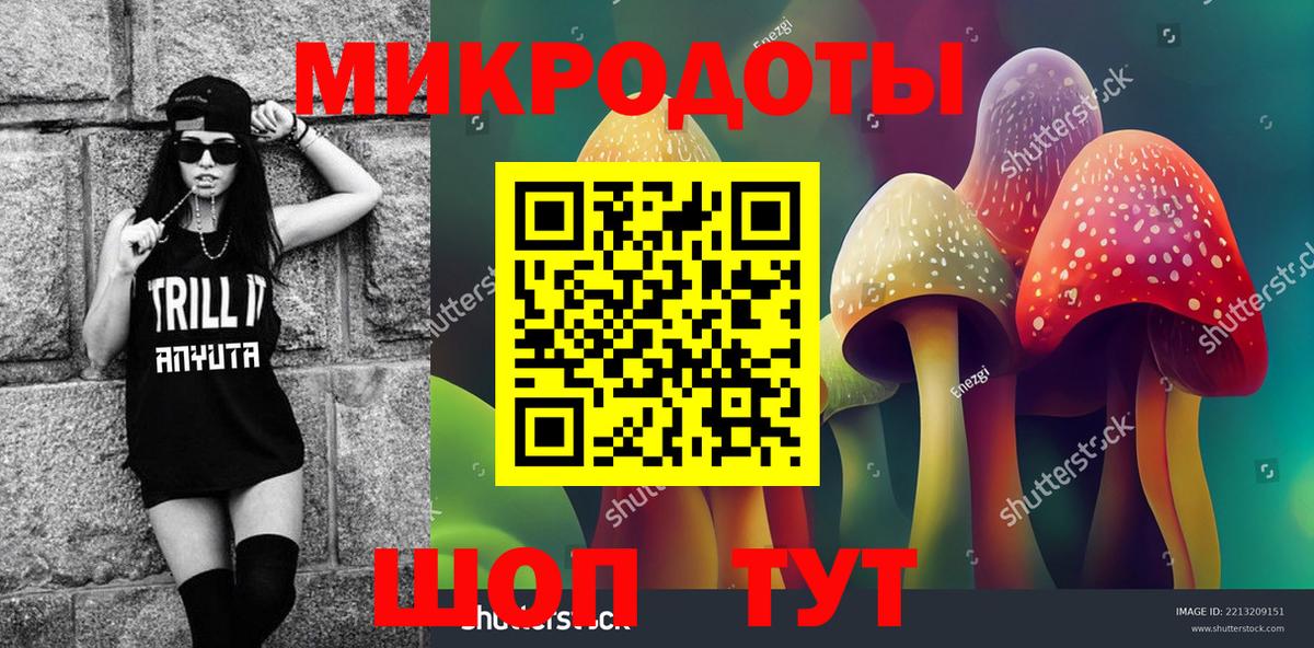 магазин продажи наркотиков  Галлюциногенные грибы мицелий  Вход с VPN  Псилоцибиновые грибы GOLDEN TEACHER  Заречный 