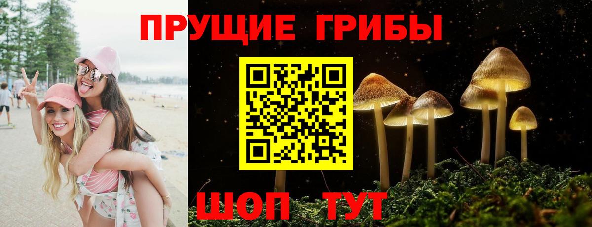 Псилоцибиновые грибы Psilocybe Заречный
